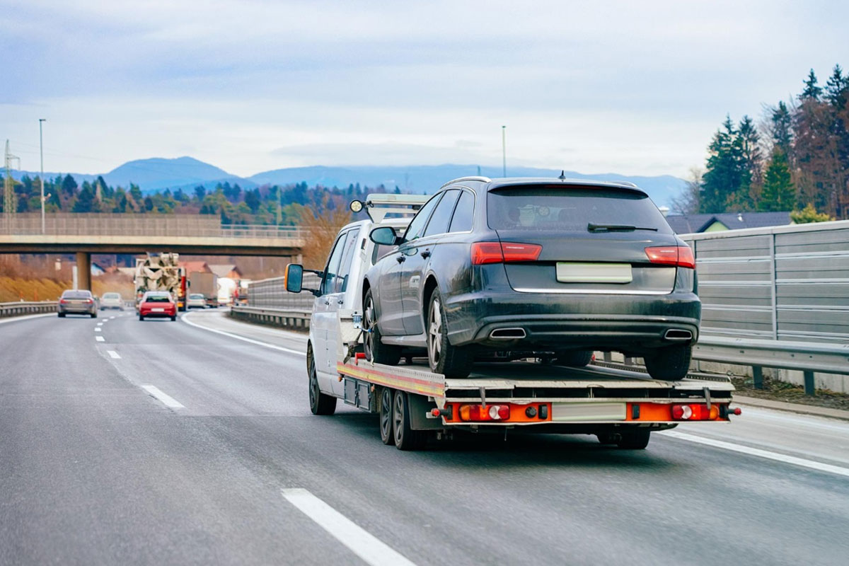 Local & Long-Distance Hauling