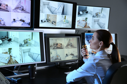 Private Investigations