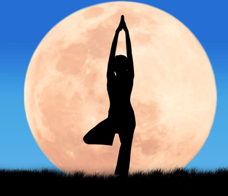Moon Cycle Herbalism: Plant Rituals for Each Phase of Your Menstrual Cycle