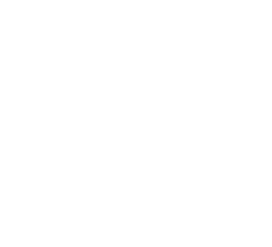 Amepol